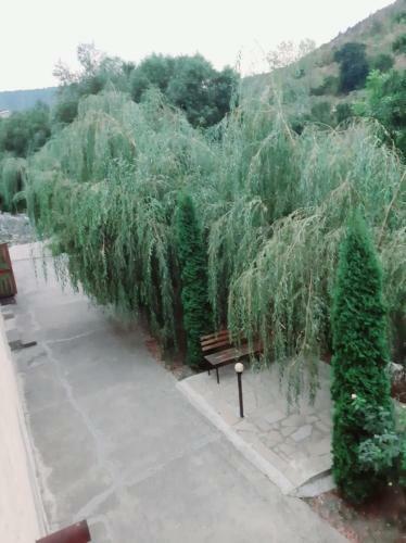 Hostal Menua Resort