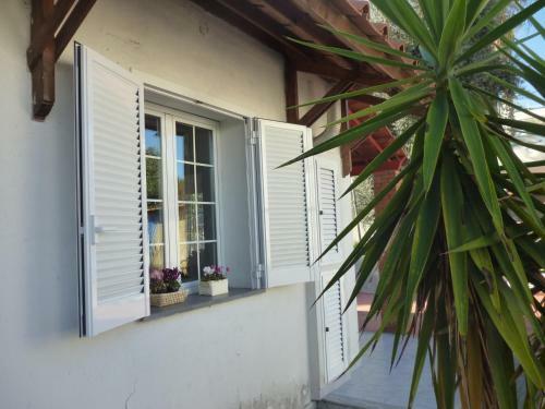 Apartamento Appartamento Napoleone