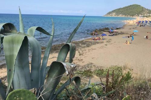 Apartamento Appartamento Centro Santa Mar�a Di Castellabate