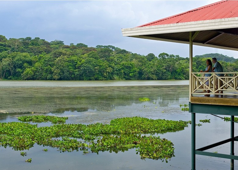 Hotel Gamboa Rainforest Resort
