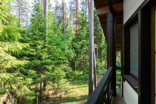 Hotel Forest Rhapsody Resort