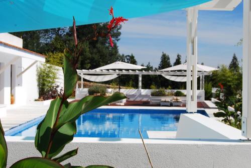 Apartamento Olive Suites