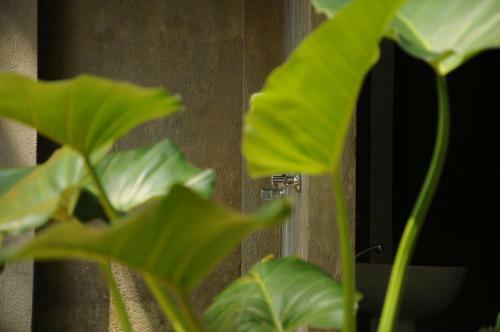 Hostal Kuru Ganga Villa