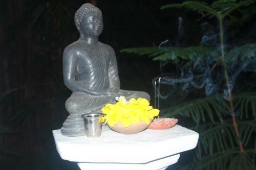 Hostal Nature House