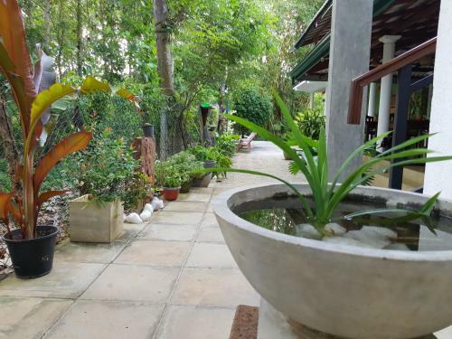 Hostal Nature House