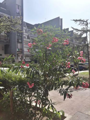 Apartamento La Casa Della Sposa