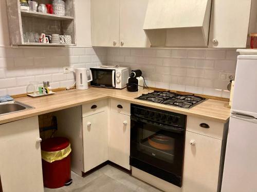 Apartament Cal Ponent A Alp, Wi-fi I Parquing
