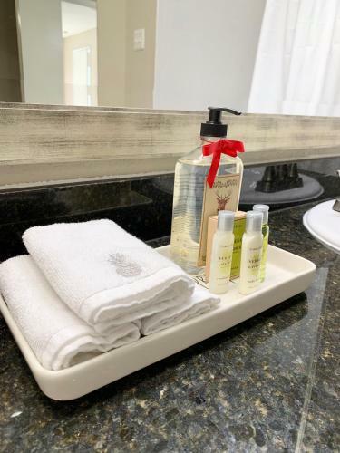 Houston Medical Center Apartments 2br & 2ba