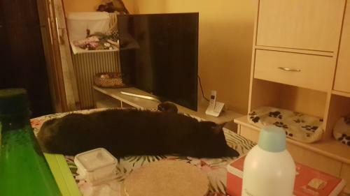 Jolie Chambre Dans Une Copropri�t� Paisible
