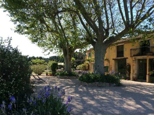 Bed & Breakfast La Bergerie De Castellan