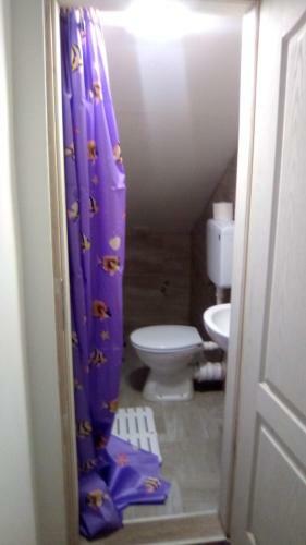 Apartamento Ku?a Za Odmor "crni Bor"