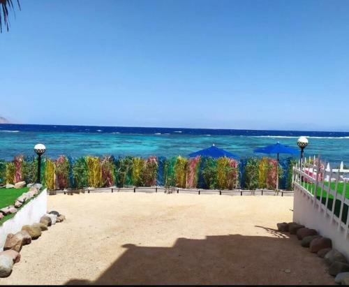 Hostal Iaru Nub - ????? ???