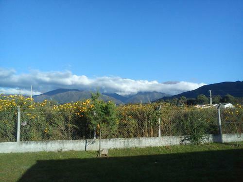 Buena Vista