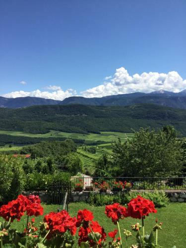 Bioweingut Lieselehof Apartments