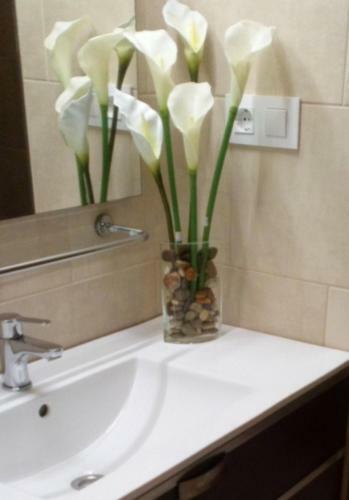Apartamento Apto Patio Andaluz. M�ximo Confort Y Limpieza