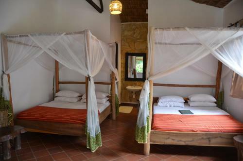 Hotel Honey Badger Lodge