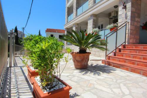 Mila & Aleksandr Apartments