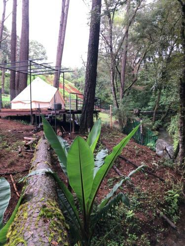 Glamping Rio Valle De Bravo
