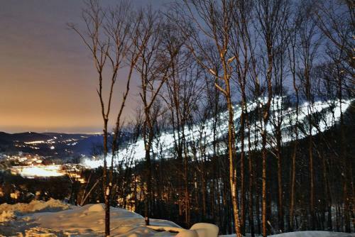 36- Chalet � Louer � Stoneham