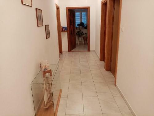 Apartment Lana