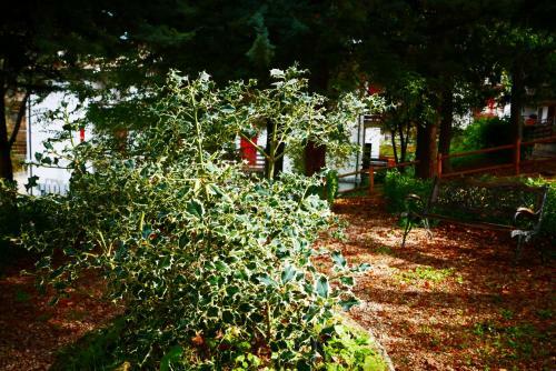 Apartamento A Un Passo Dal Tuo Relax