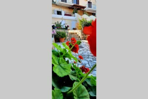 Bloom Garden Apartment