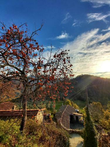 Bed & Breakfast Il Convento Di Casola