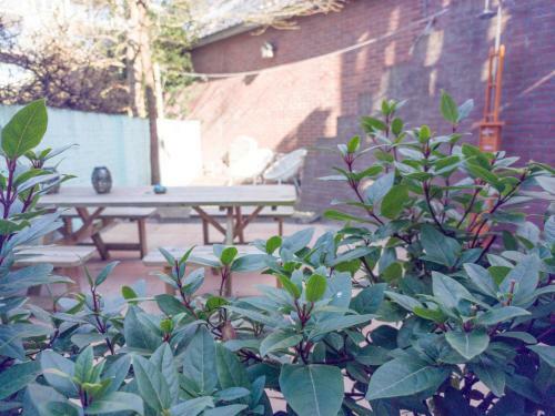Apartamento De Rode Ridder