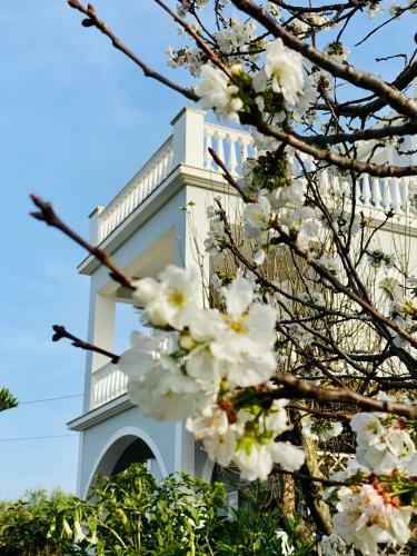 Apartamento Theros Villa