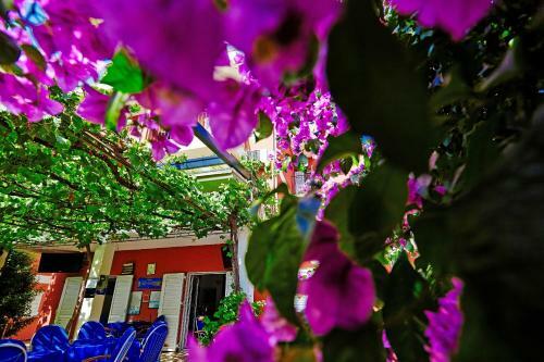 Hostal Villa Bojana