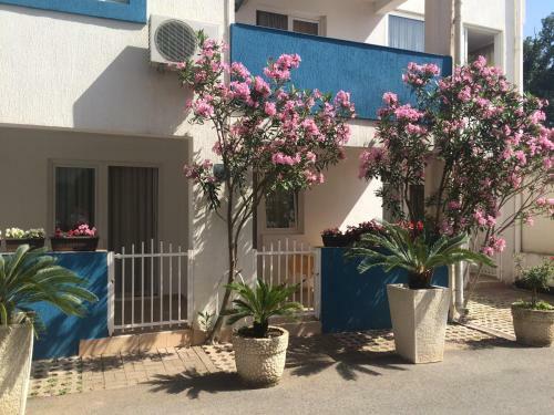 Apartments Aleksic