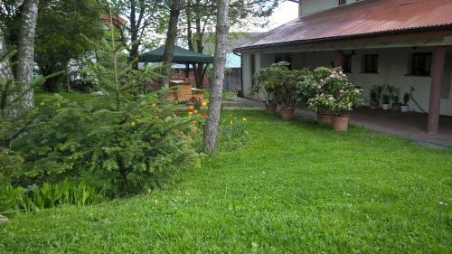 Hostal Tanie Noclegi Krysia Falsztyn