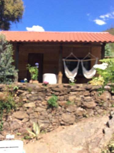 Unique Tiny House With Natural Building Techniques