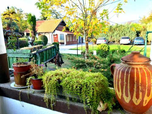 4 Apartmans Nis Mezgraja