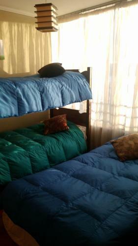 Apartamento Departamento Amoblado Por Dias Concepci�n