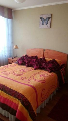 Apartamento Departamento Amoblado Por Dias Concepci�n