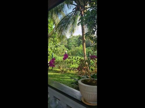 Hostal Room In Bb - Suma Villa, Lovely Double-room