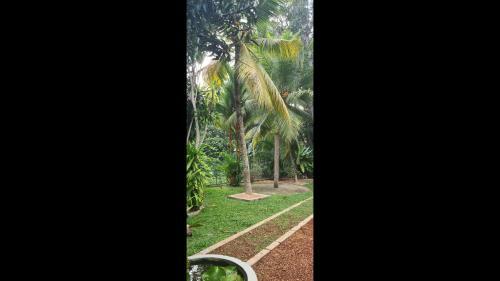 Hostal Room In Bb - Suma Villa, Lovely Double-room