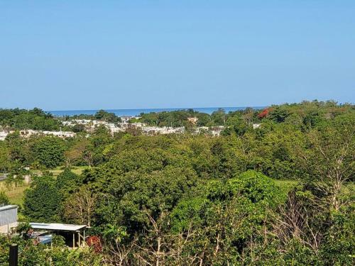 Apartamento Villa Patria Guest House