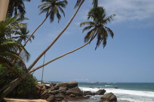 Hotel Dream Beach Resort