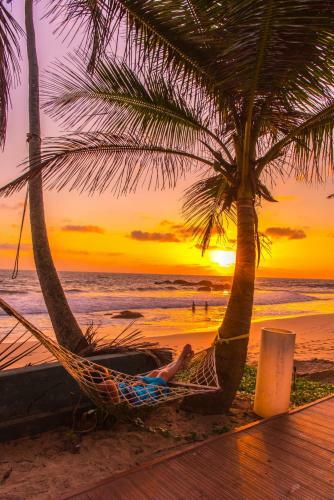 Hotel Dream Beach Resort