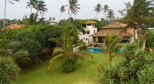 Greenparrot-villa