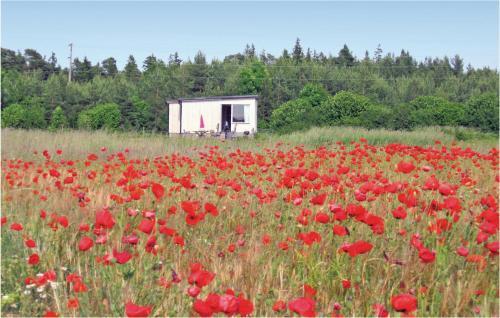Holiday Home Klintehamn 52