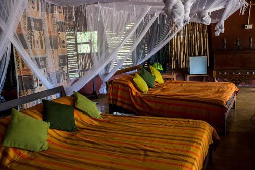 Lodge Cadjan Earth