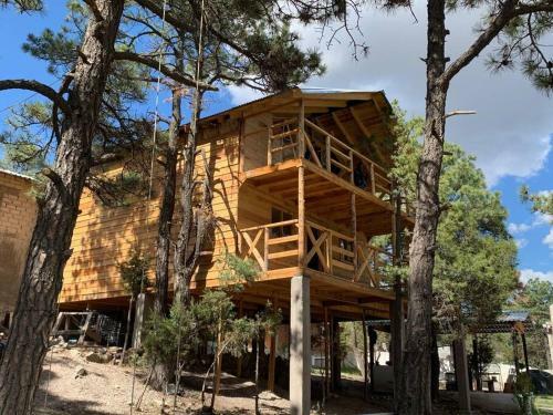 Caba�as El Pino 3
