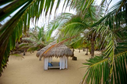 Hotel Dolphin Beach
