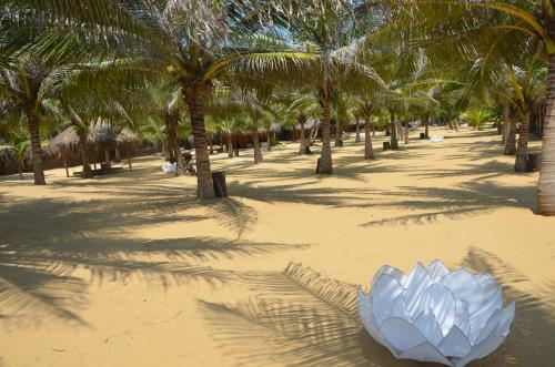 Hotel Dolphin Beach