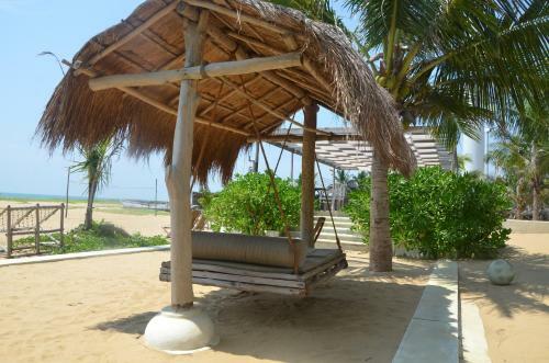 Hotel Dolphin Beach