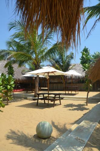 Hotel Dolphin Beach