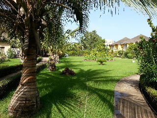 Royal Saly